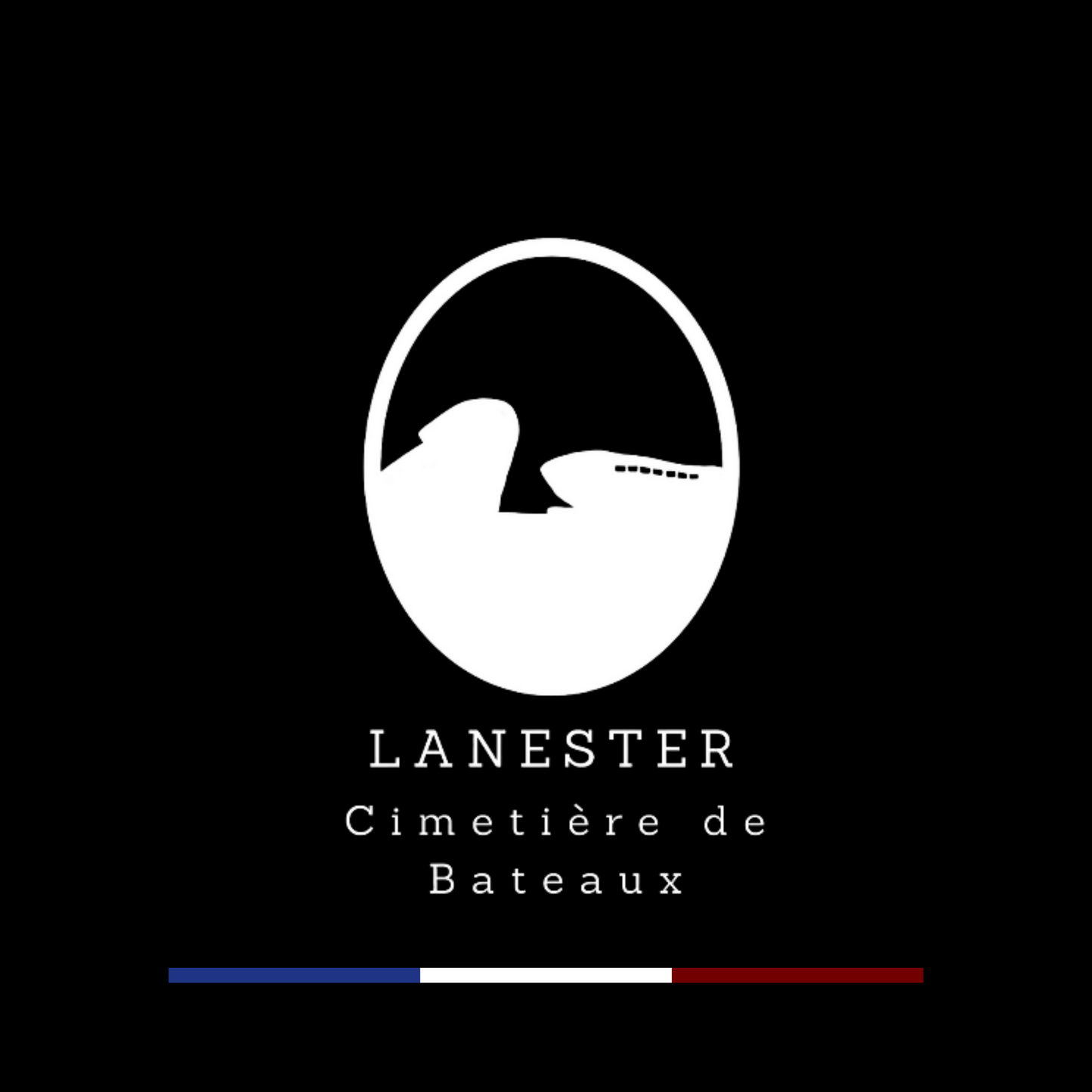 T-shirt Lanester